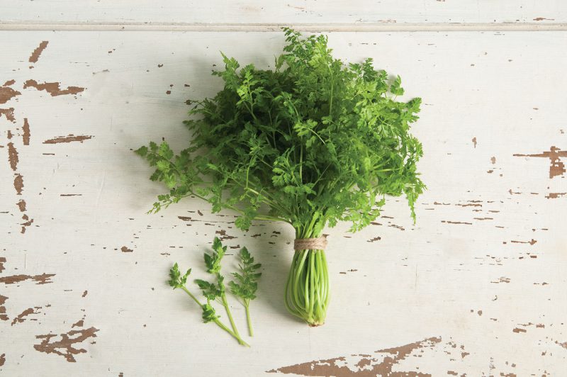 bunch of chervil on wooden surface
