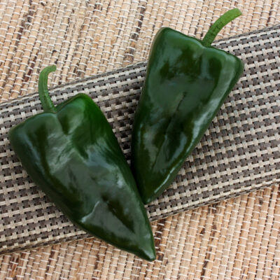 Pepper Trident (Poblano)