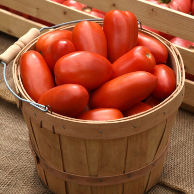 Tomato La Roma IV Red