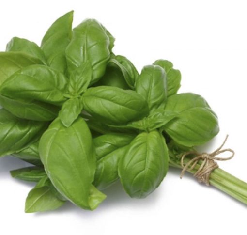 Basil Nufar Sweet - Image 2
