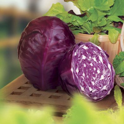Cabbage Red Acre