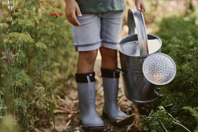 child in vegetable garden with watering can