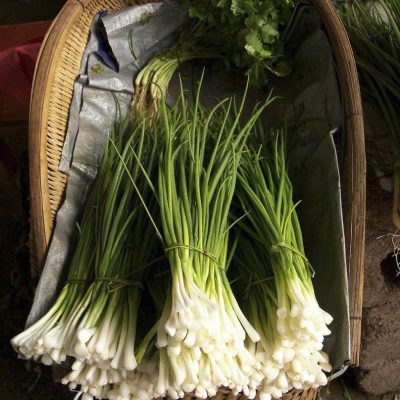 Chives Onion