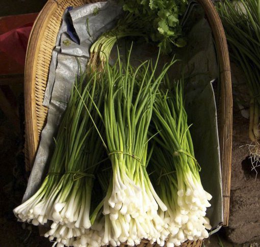 Chives Onion