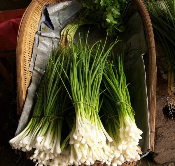Chives Onion in a basket