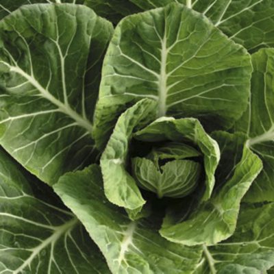 Collards Vates