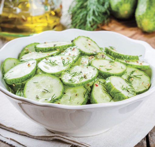 Cucumber Saladmore Bush