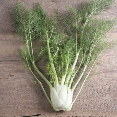 Fennel Sweet