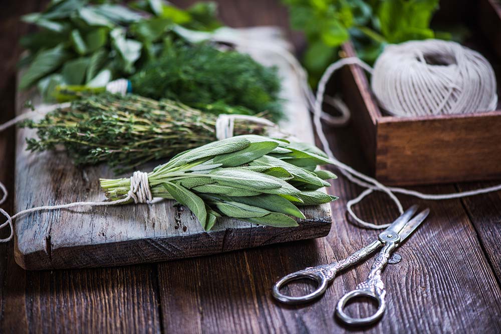 fresh cut herb bundles from the garden
