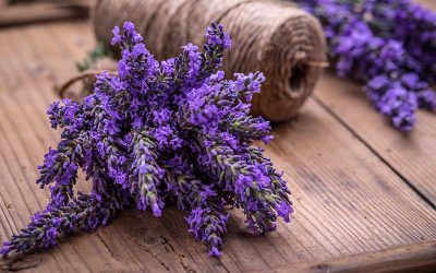 How to Dry Your Lavender