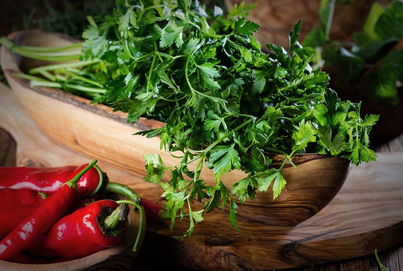 freshly cut parsley in a bowl