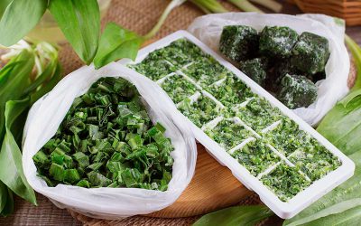 How to Freeze Herbs