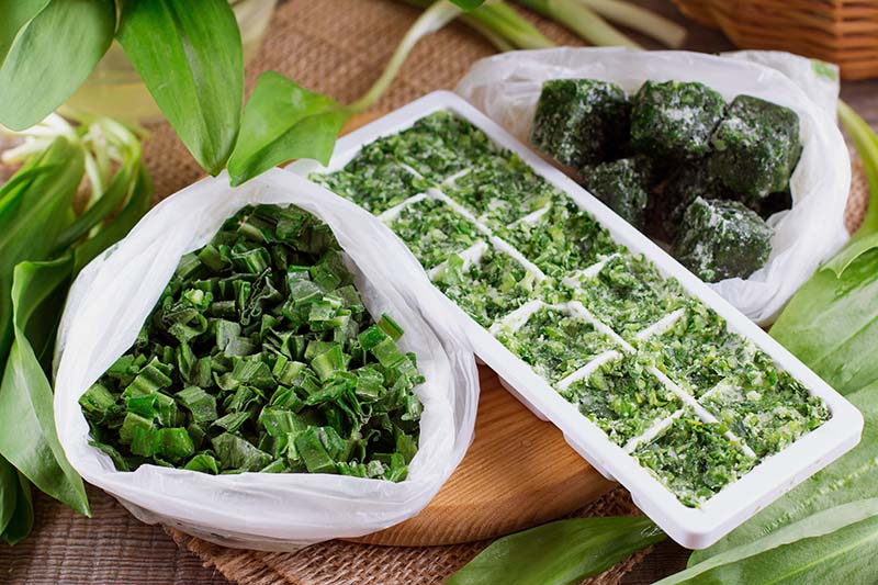 frozen herbs in a bag and ice cube tray