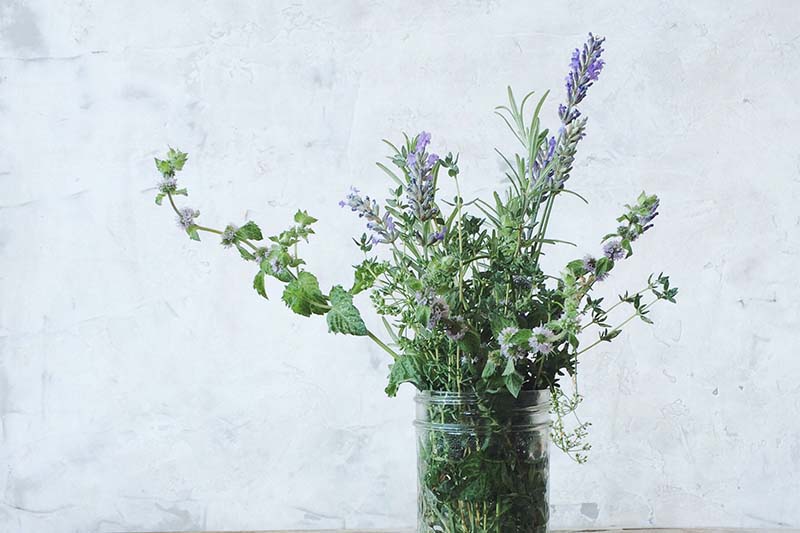 fresh bouquet with herbs