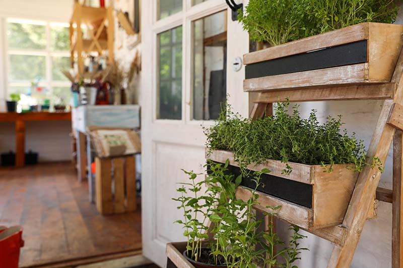 vertical plant stand with herb plants