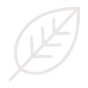 herb icon herb leaf icon