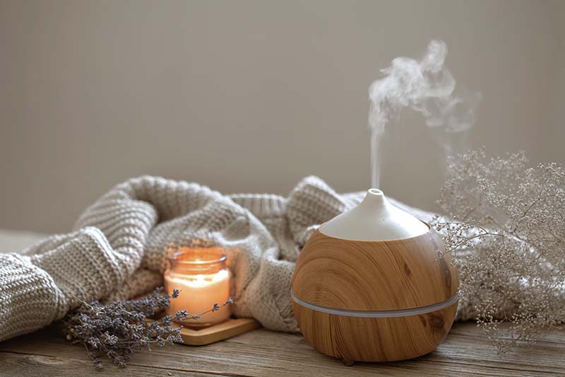 lavender herb with humidifier in home