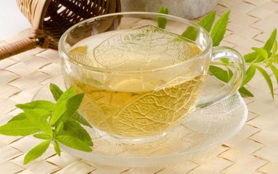Lemon Verbena – A Happy Sunny Herb