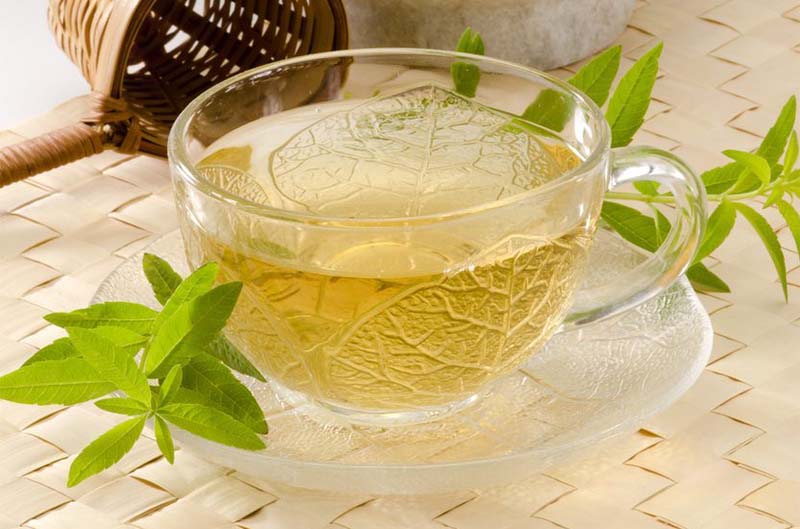 fresh herbal tea with lemon verbena