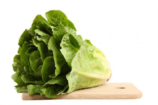 Lettuce Parris Island Cos