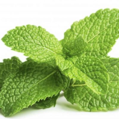 Mint Spearmint