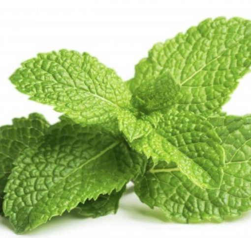 Mint Spearmint