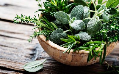 Health Benefits of Herbs