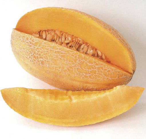 Muskmelon Sweet Granite