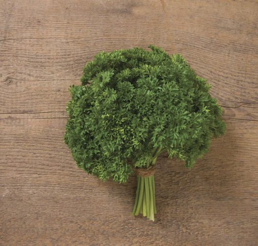 Parsley Darki