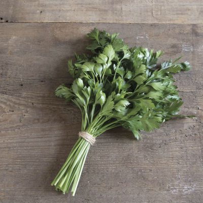 Parsley Giant of Italy