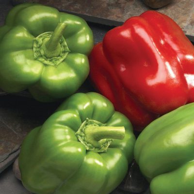 Pepper Hungarian Cheese Mix