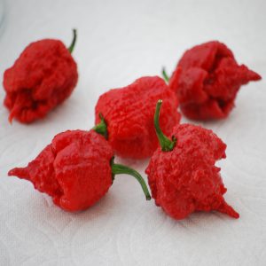 red Carolina Reaper peppers on white surface