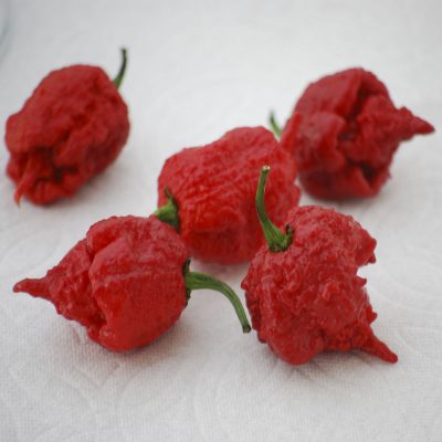 Pepper Carolina Reaper
