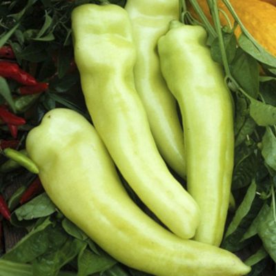 Pepper Sweet Banana