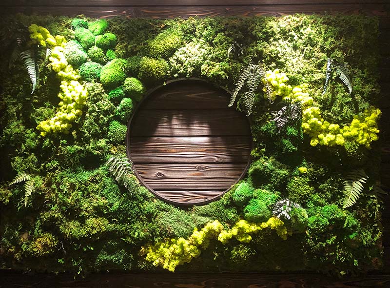 vertical indoor plant garden
