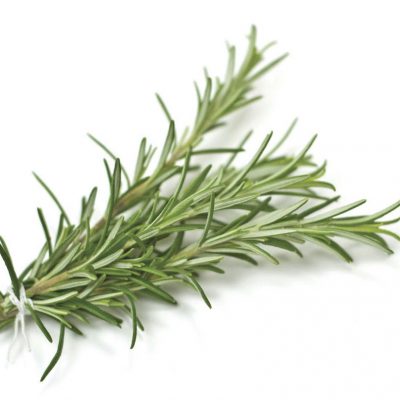 Rosemary Gorizia