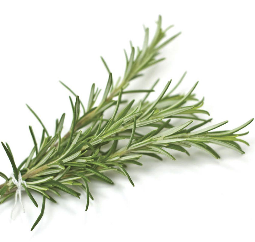 Rosemary Gorizia Sweet Valley by Jolly Farmer