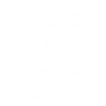 potpourri icon