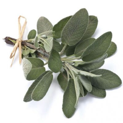 Sage Berggarten