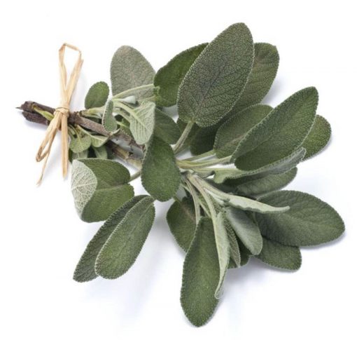 Sage Berggarten