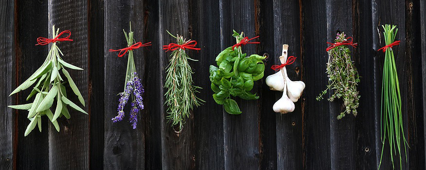 herbs hanging to dry