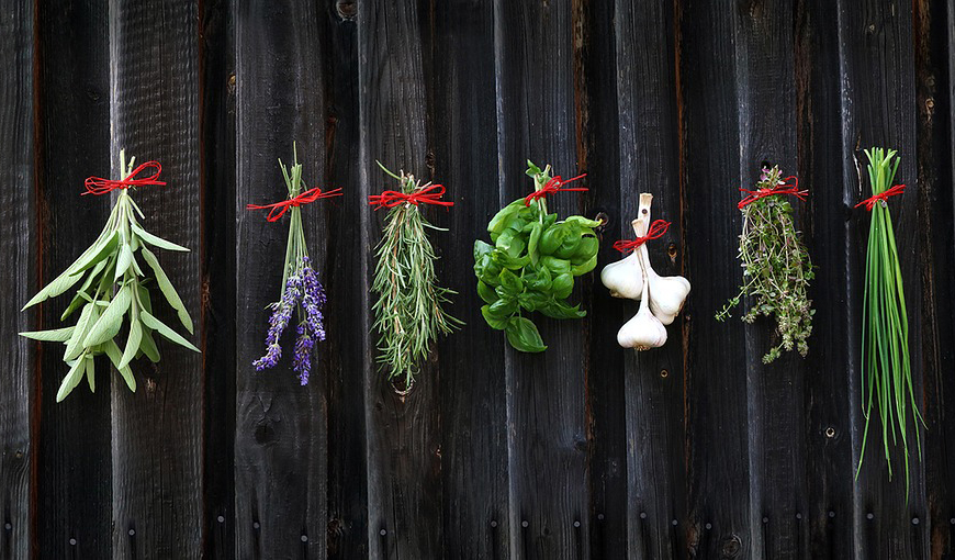 How To Dry Your Herbs