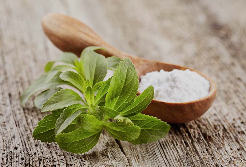 branch of stevia and spoon of dried stevia on wood surface