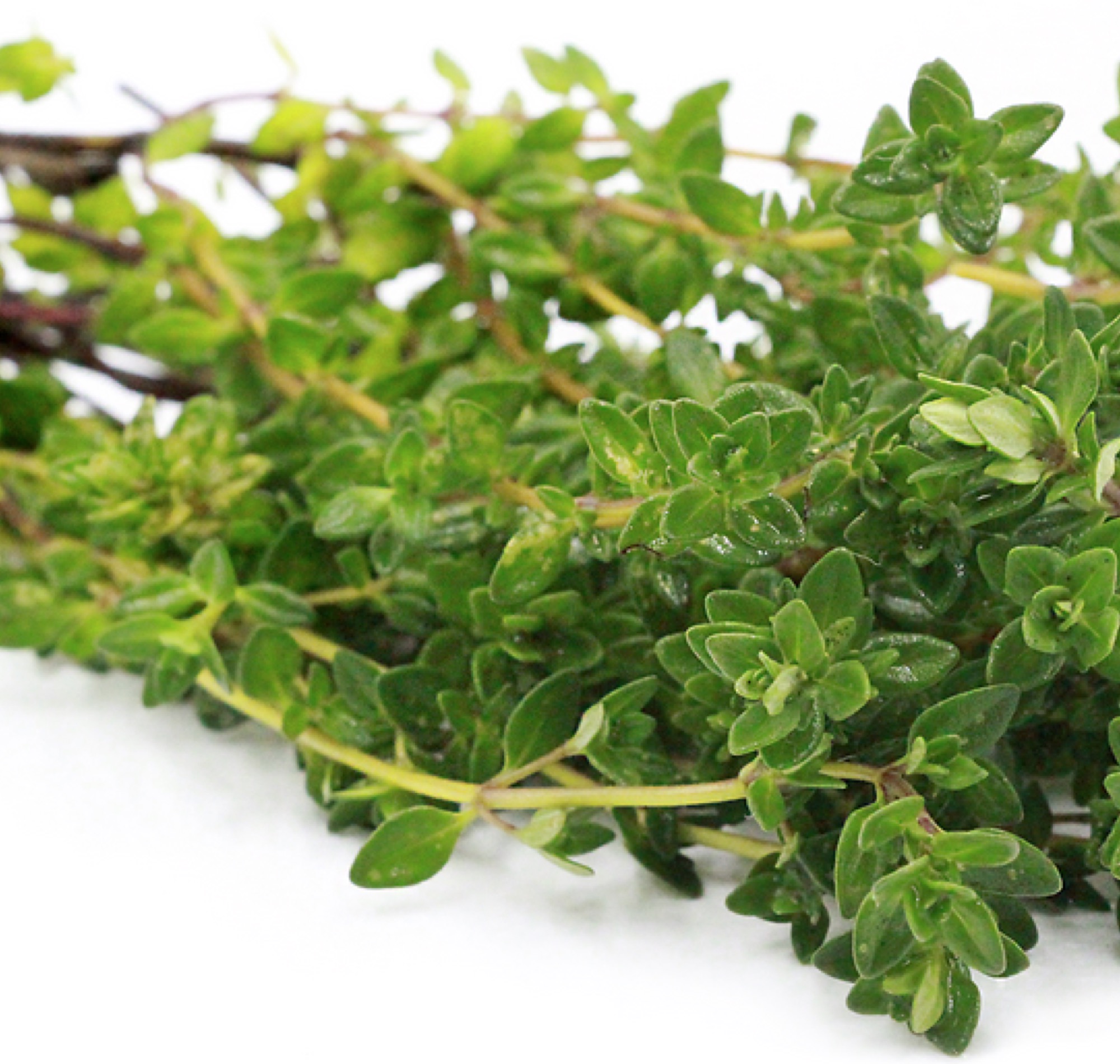 Thyme Lemon Sweet Valley by Jolly Farmer