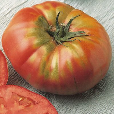 Tomato Brandywine Red