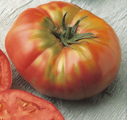 Tomato Brandywine Red