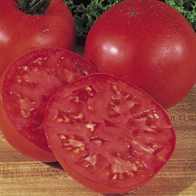 Tomato Burpee Big Boy