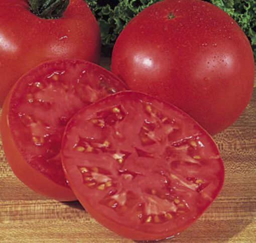 Tomato Burpee Big Boy