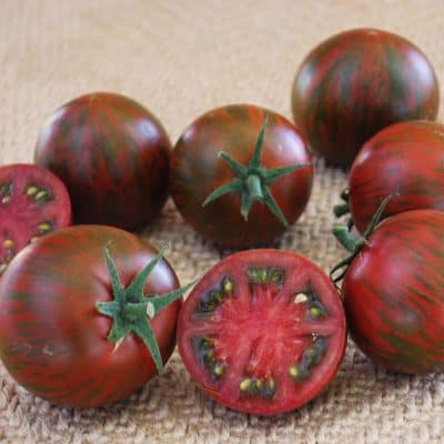 Tomato Purple Zebra