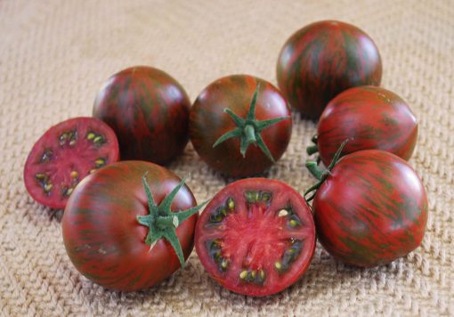 Tomato Purple Zebra